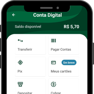 conta-digital-pagar-e-receber-online-leozinha